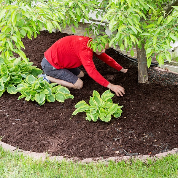 we use quality mulch materials and proper installation techniques to extend the longevity of mulch and minimize the need for frequent reapplication